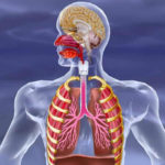 persistierender Ductus Arteriosus Botalli PDA beim Frühchen