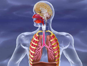 persistierender Ductus Arteriosus Botalli PDA beim Frühchen