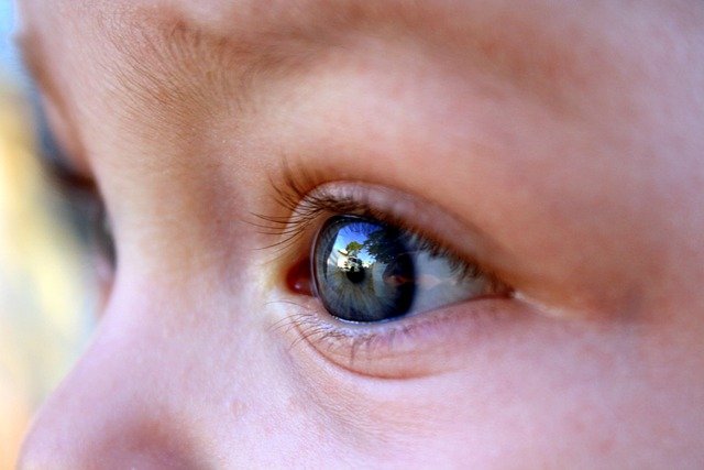 Frühgeborenen - Retinopathie durch Sauerstoffschwankungen
