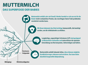 Infografik Muttermilch